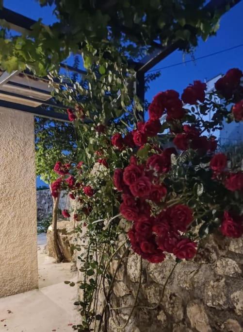 Villa Aiolia Kondoyenadha Bagian luar foto